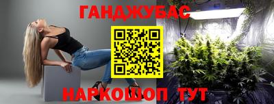 бошки Гагарин
