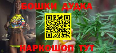 бошки Гагарин