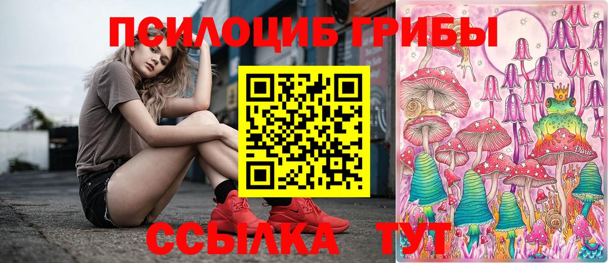 Галлюциногенные грибы Cubensis  Вход с VPN  Новошахтинск 